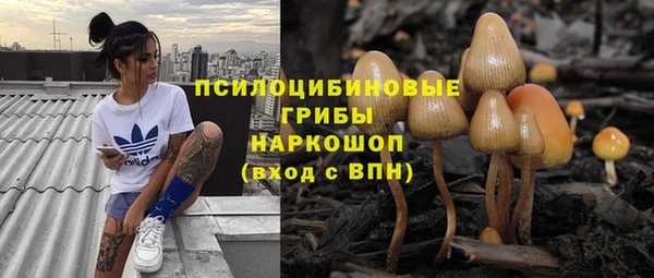mix Алексин